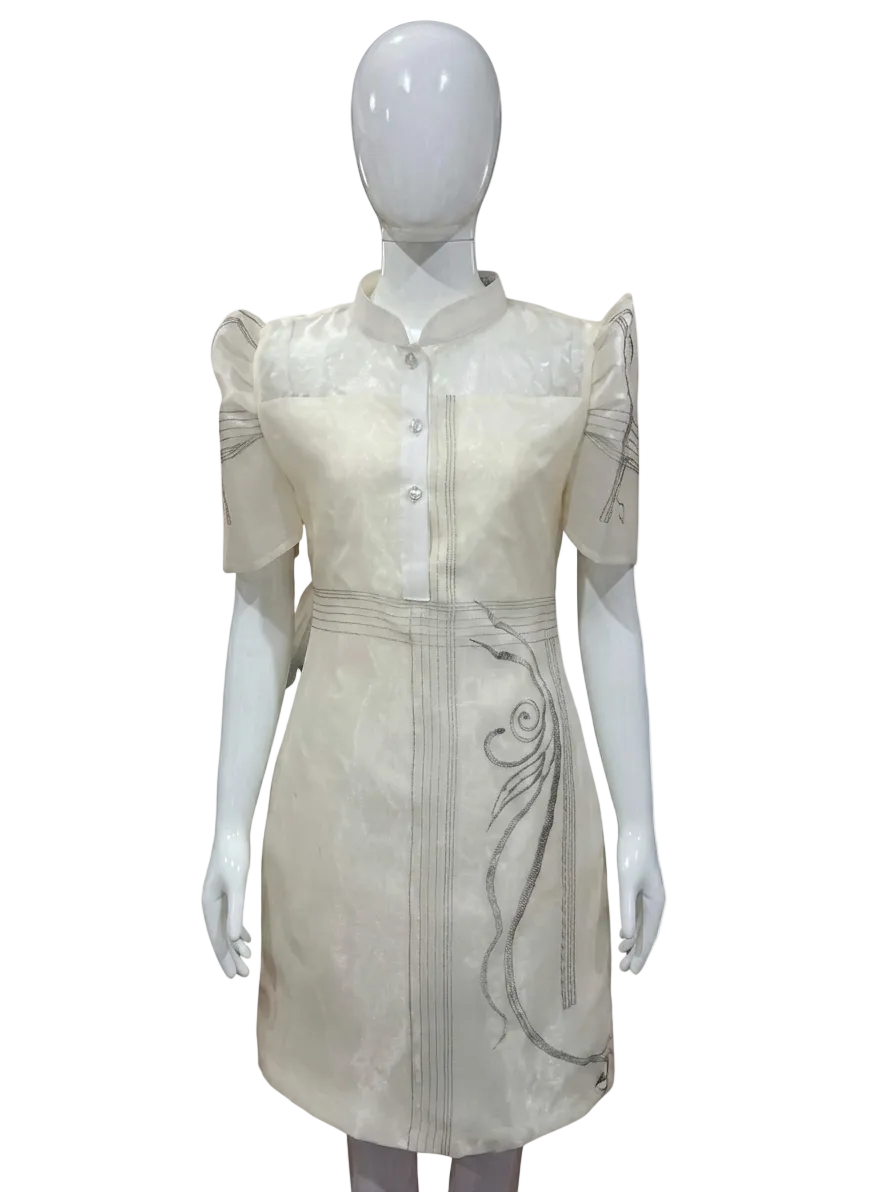 D81 - See Through Dress Embro