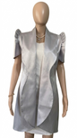 T02 - Sara Taffeta (Silver Gray)